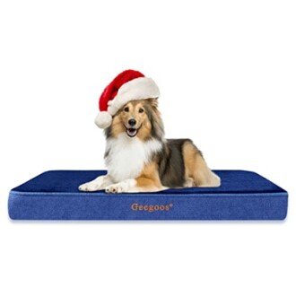 Best Dog Beds for Large Dogs - Orthopedic, Waterproof, and Cozy