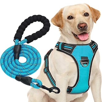 haapaw No Pull Dog Harness