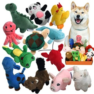 Squeaky Plush Dog Toy Pack for Puppy