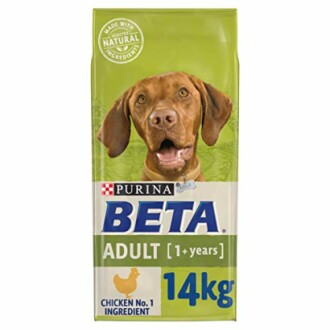 Beta Adult Dry Dog Food